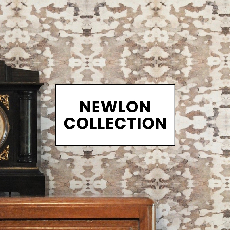Image link to Newlon Collection's papers