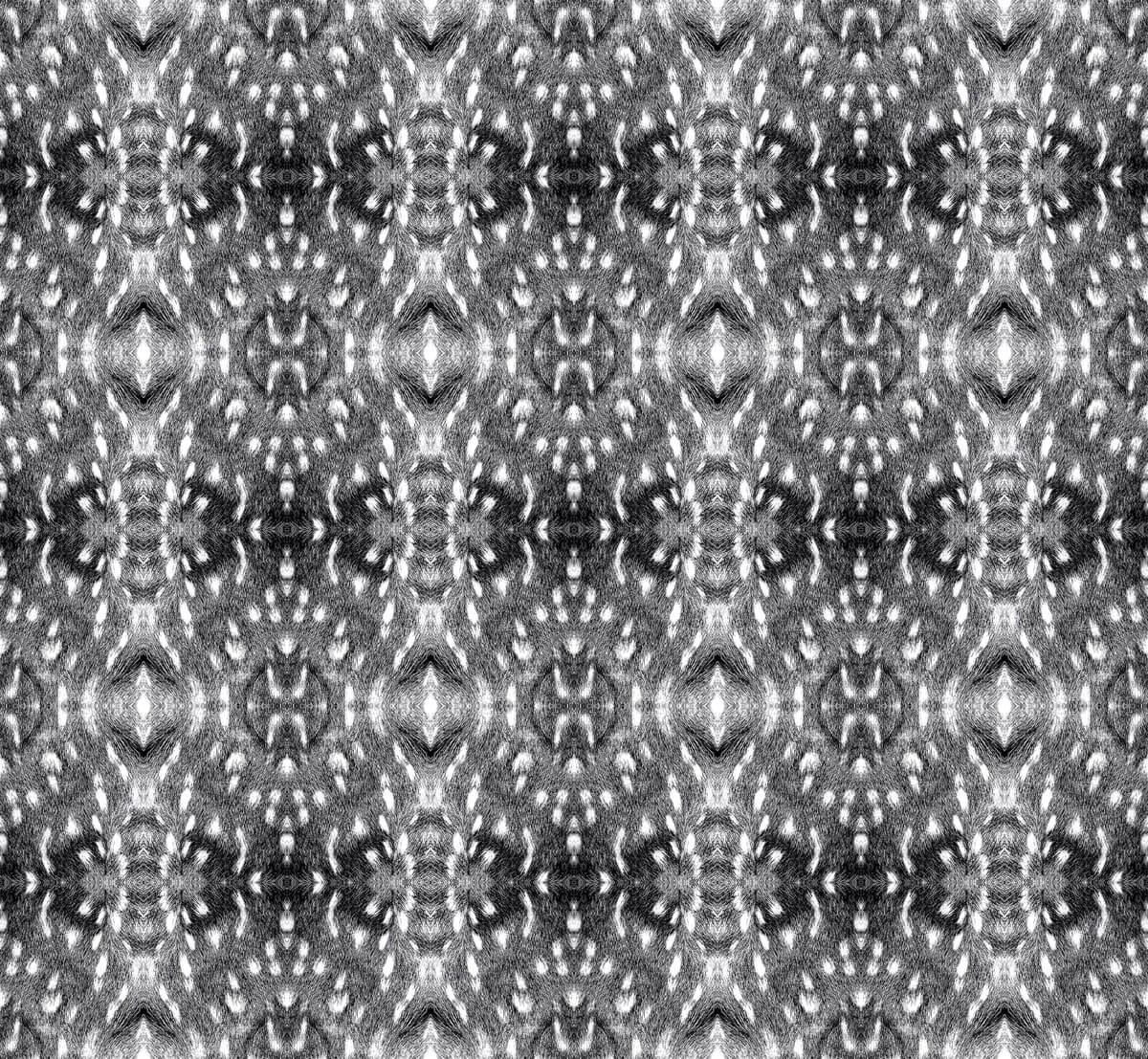 Fawn pattern in black and white
