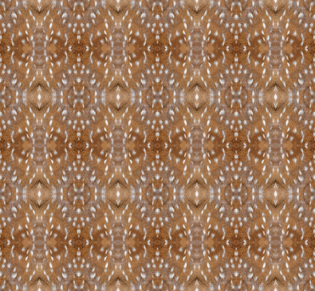 Fawn pattern in fawn (brown) and white