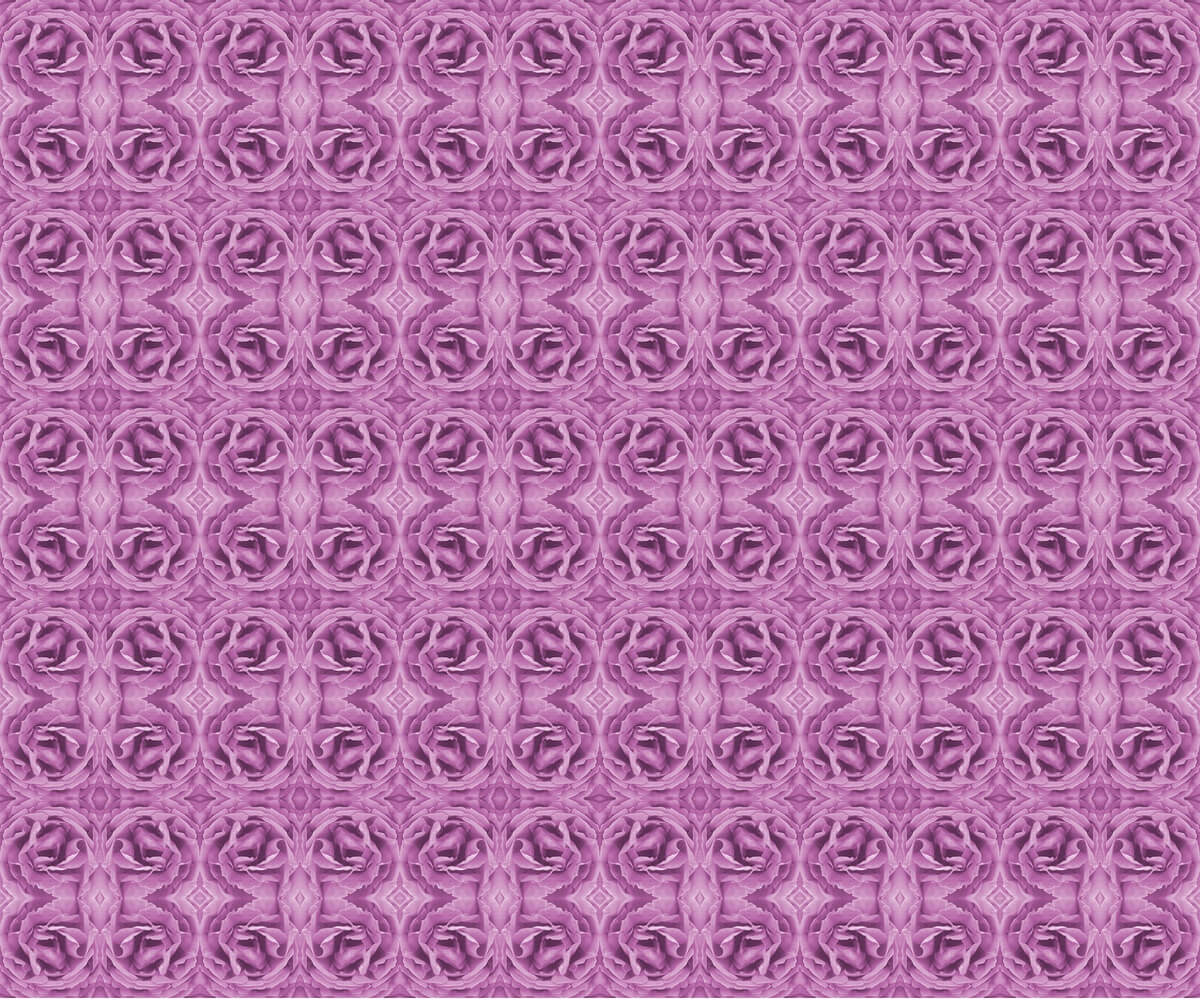 Knockout Rose pattern in violet