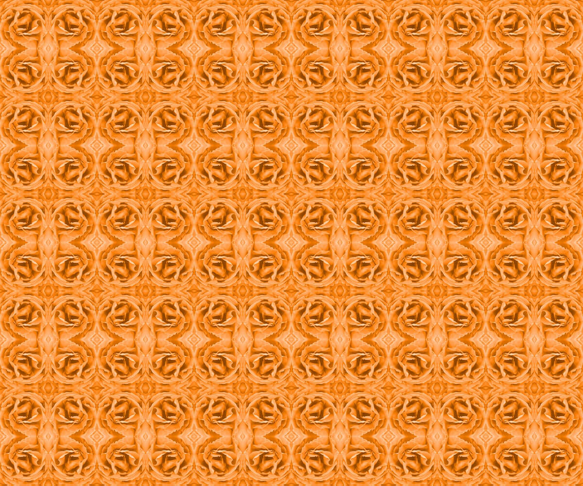 Knockout Rose pattern in orange