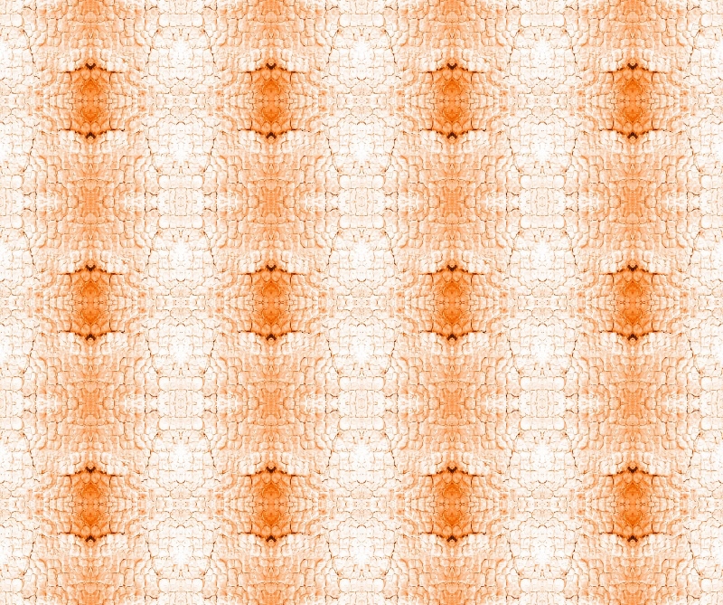 Naked Bark pattern in orange