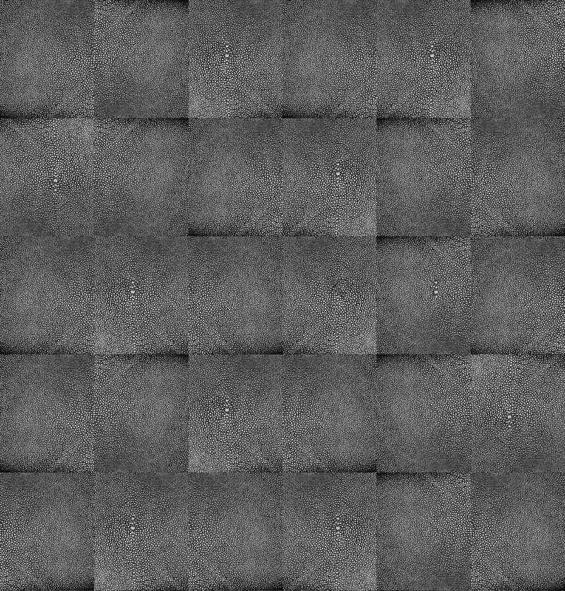 Shagreen pattern in Black Chrome