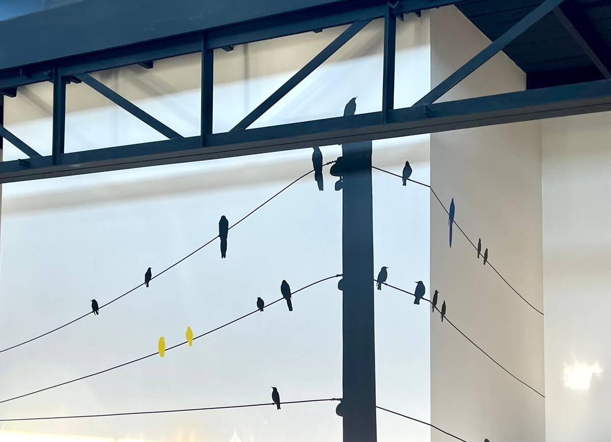 Custom Newlon paper with birds on a telephone wire