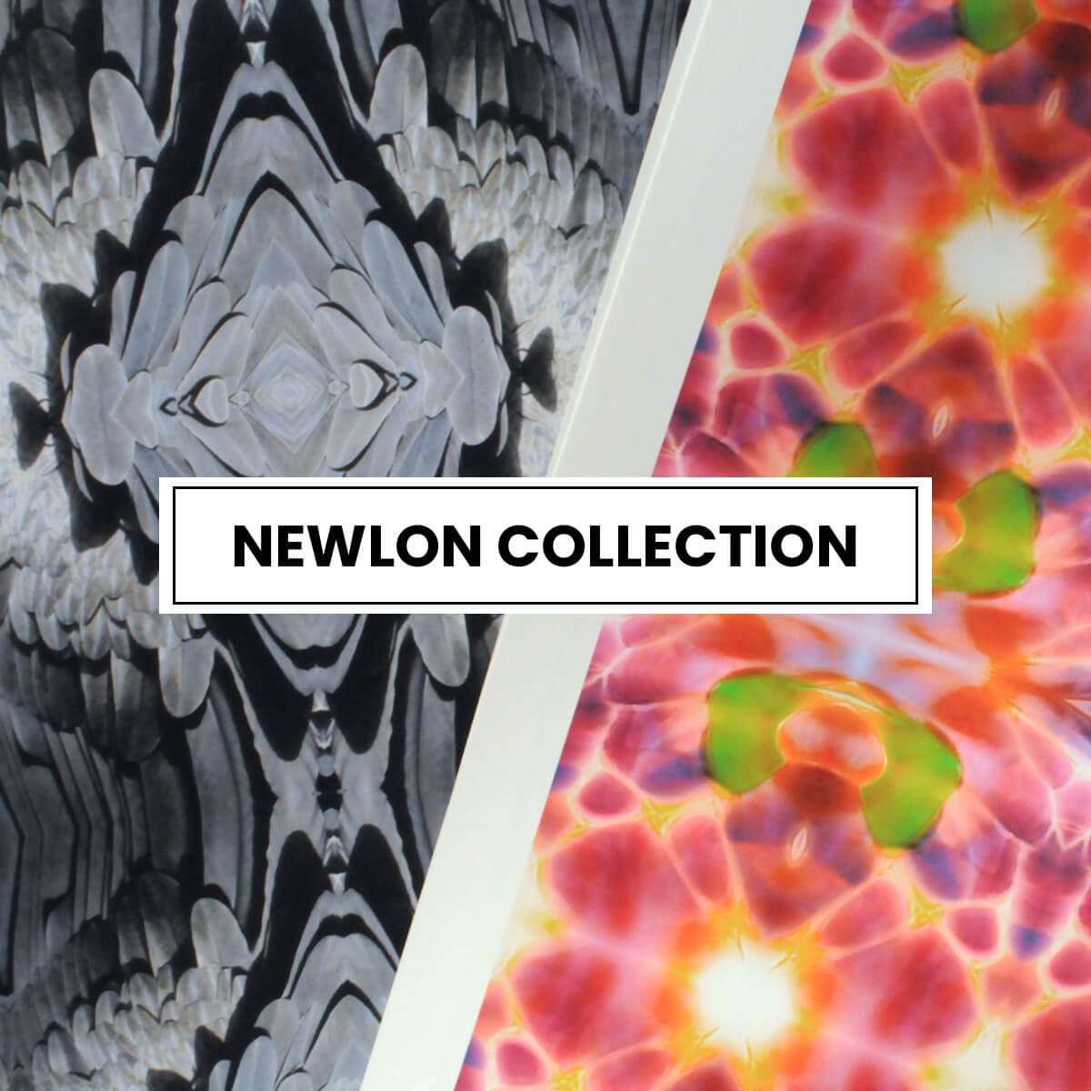 Newlon Collection link image photo with view of paper samples.